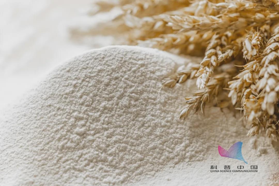 家里的米面為啥憑空出現(xiàn)小蟲(chóng)？
